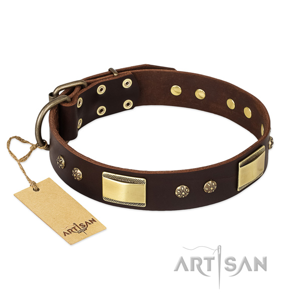 Genuine leather dog collar with strong buckle and decorations