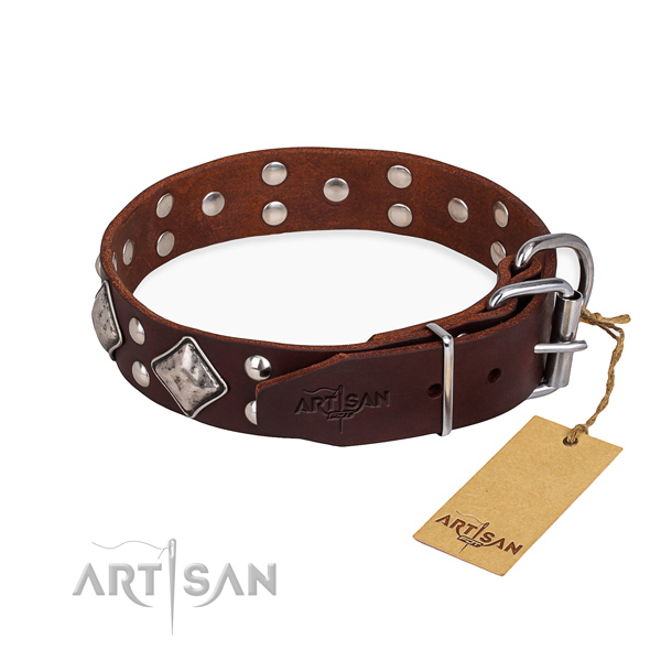 Natural leather dog collar with impressive durable adornments