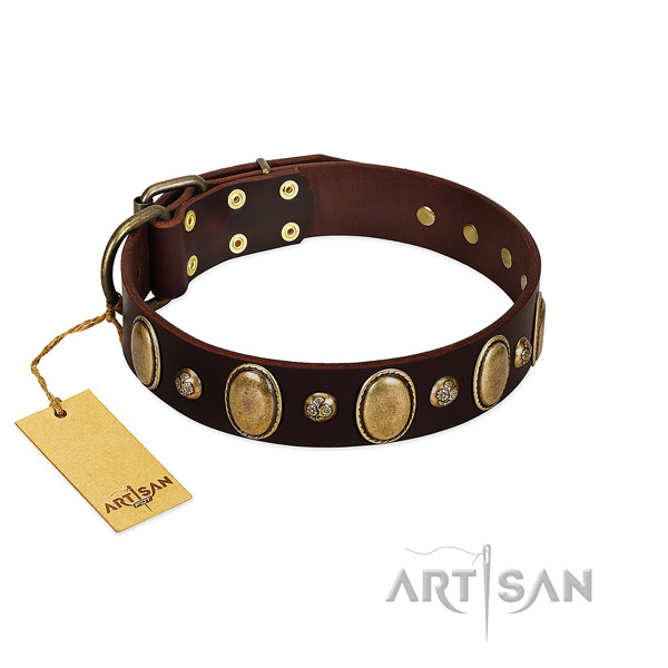 Full grain genuine leather dog collar of quality material with designer studs