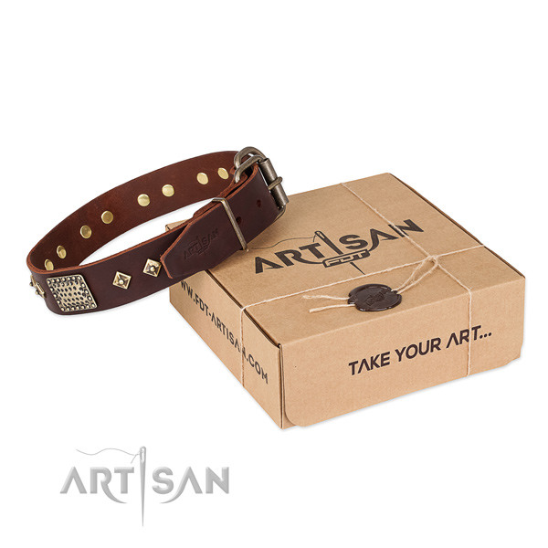 Handmade full grain leather collar for your attractive dog