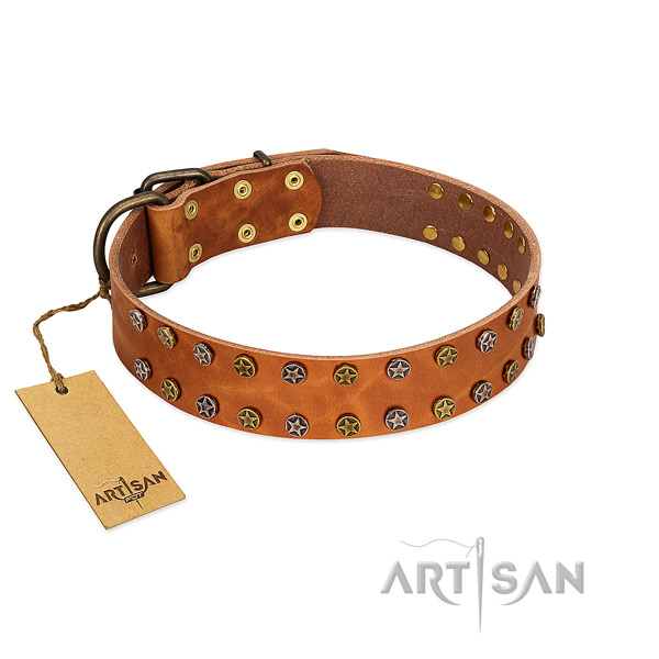 Everyday use best quality full grain natural leather dog collar with adornments