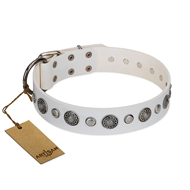 "Fluff-Stuff Beauty" FDT Artisan White Leather Siberian Husky Collar with Silver-like Studs and Conchos "Fluff-Stuff Beauty" FDT Artisan White Leather Siberian Husky Collar with Silver-like Studs and Conchos