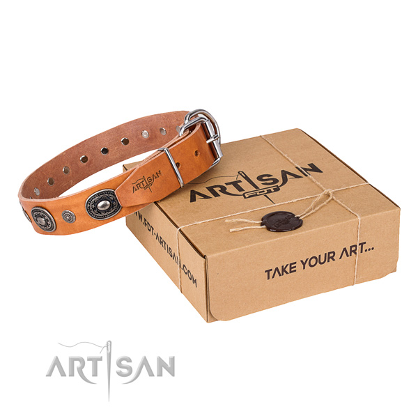 Top rate leather dog collar crafted for daily walking
