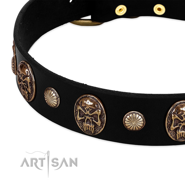 Leather dog collar with stunning decorations