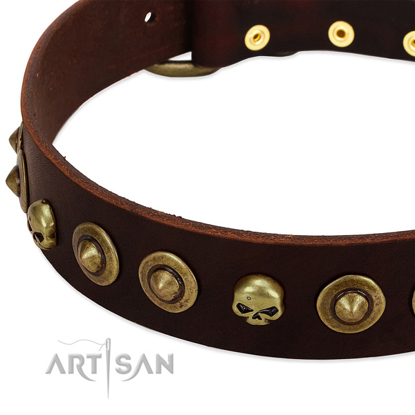 Awesome embellishments on natural leather collar for your four-legged friend