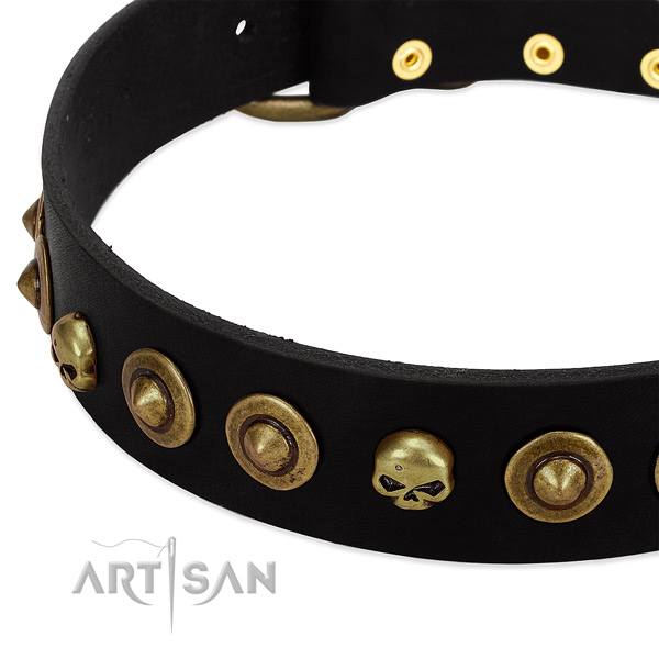 Leather dog collar with exquisite embellishments