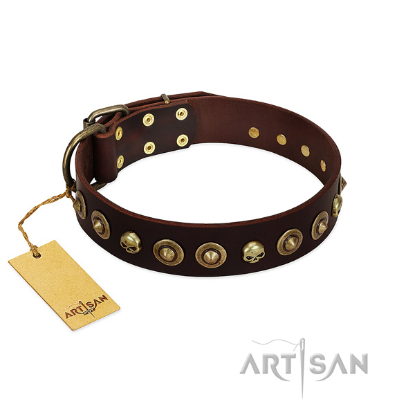 Full grain genuine leather collar with amazing decorations for your four-legged friend