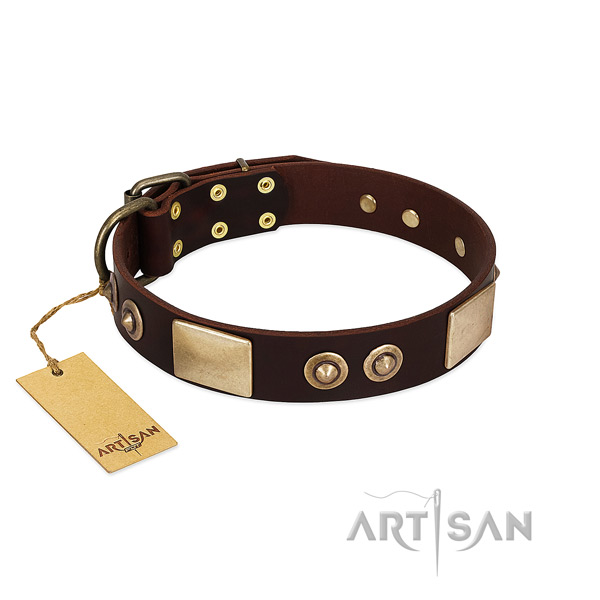 Easy adjustable leather dog collar for stylish walking your doggie