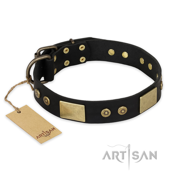Studded leather dog collar for comfy wearing