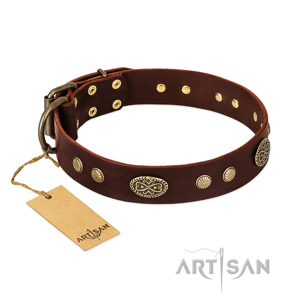 Reliable traditional buckle on leather dog collar for your dog