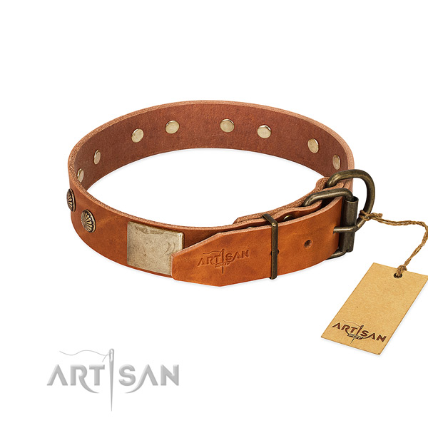Rust resistant traditional buckle on stylish walking dog collar