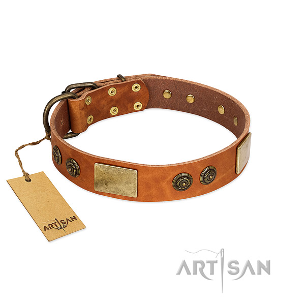 Remarkable full grain leather dog collar for comfortable wearing