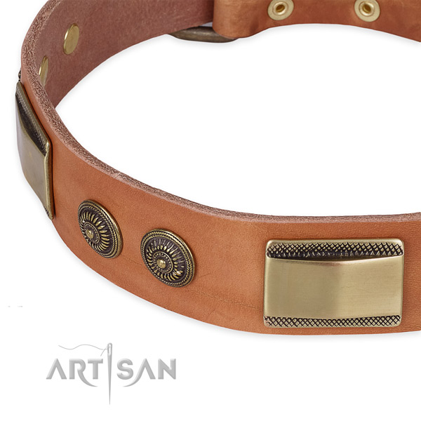 Durable studs on leather dog collar for your canine