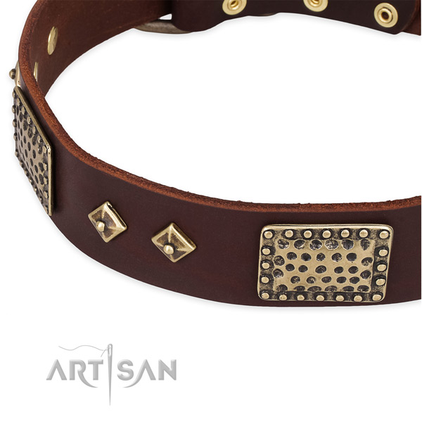 Reliable adornments on genuine leather dog collar for your four-legged friend
