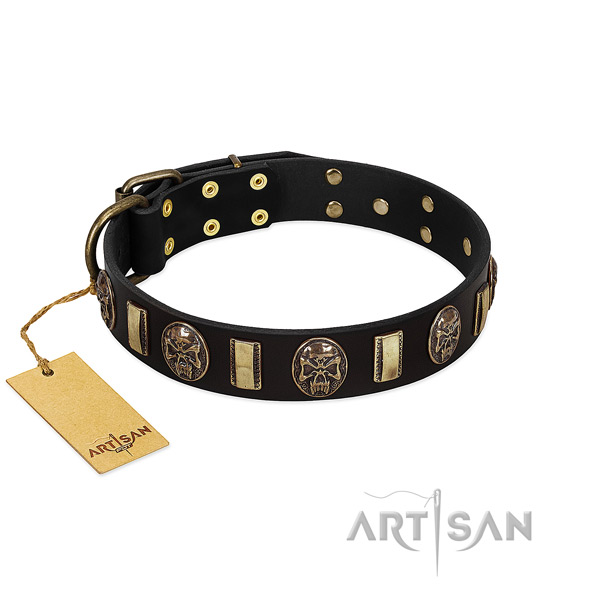 Fashionable full grain genuine leather dog collar for stylish walking
