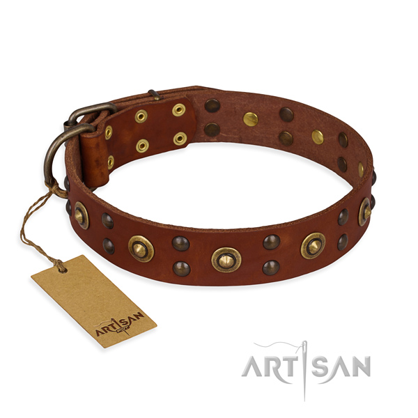Handcrafted leather dog collar with corrosion resistant hardware