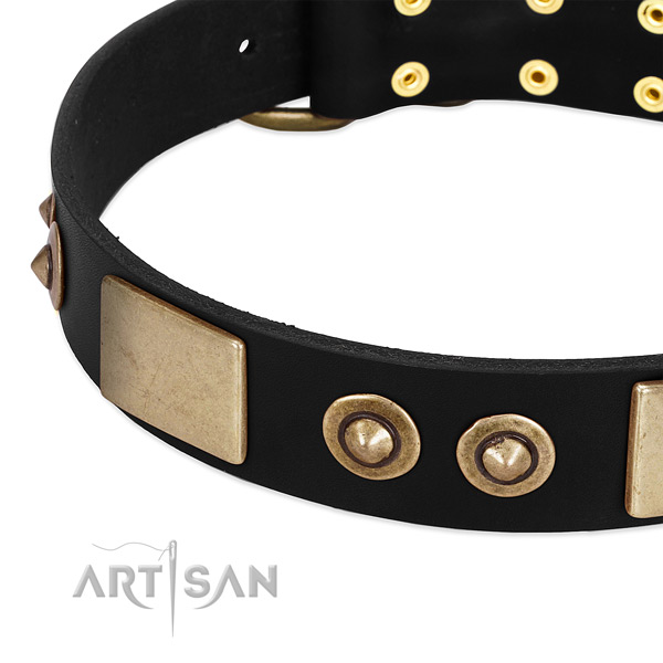 Durable traditional buckle on leather dog collar for your doggie