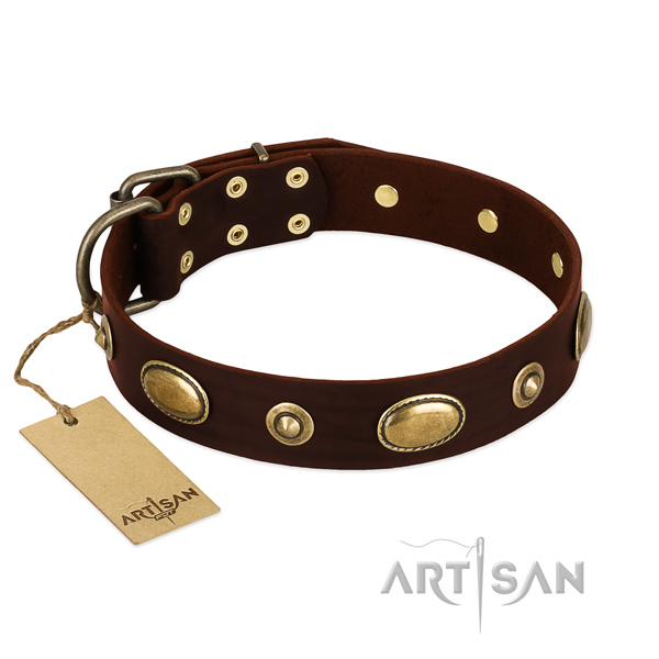 Designer leather collar for your four-legged friend