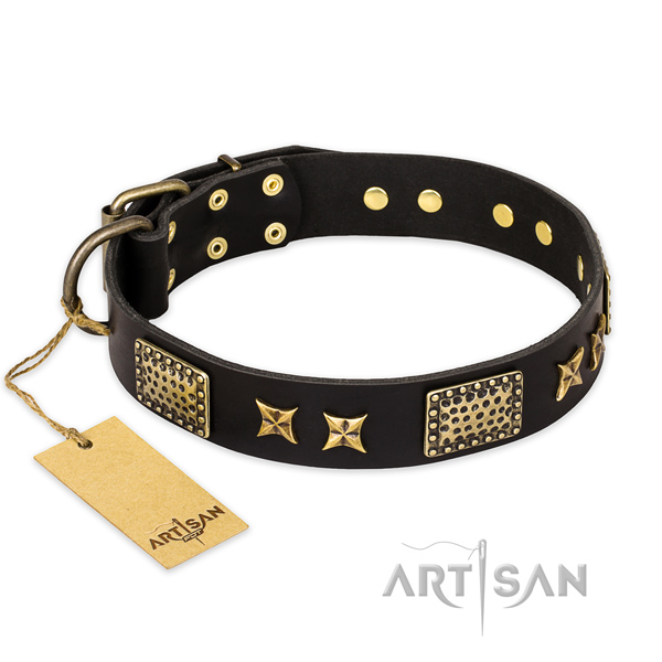 Exquisite full grain leather dog collar with corrosion proof hardware