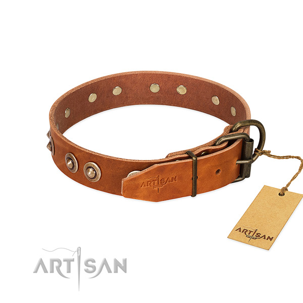 Rust-proof decorations on full grain genuine leather dog collar for your canine