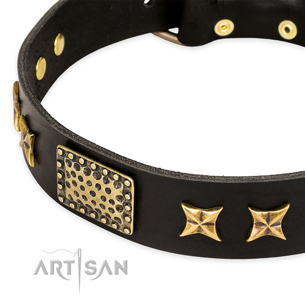 Genuine leather collar with durable fittings for your handsome four-legged friend