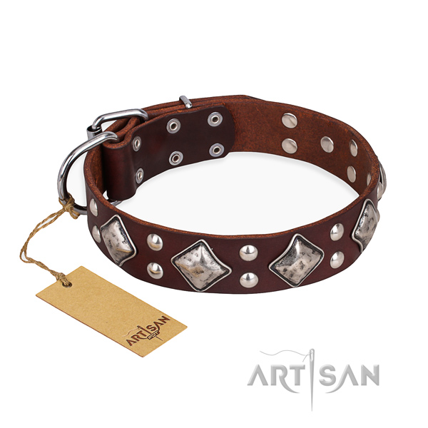 Daily use fashionable dog collar with reliable fittings