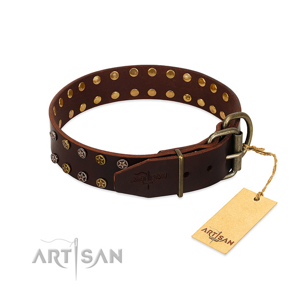 Daily use full grain leather dog collar with incredible studs