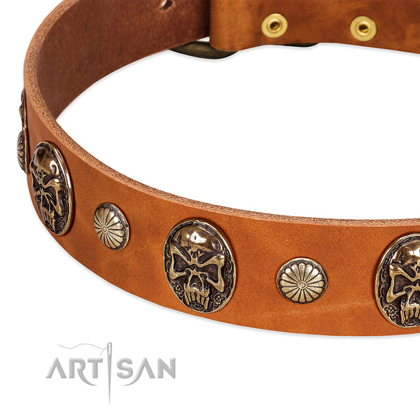 Strong studs on genuine leather dog collar for your dog