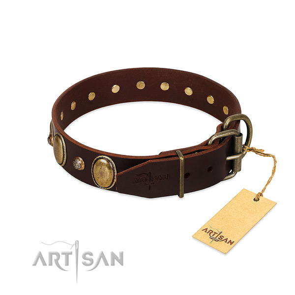 Rust-proof hardware on leather collar for basic training your four-legged friend