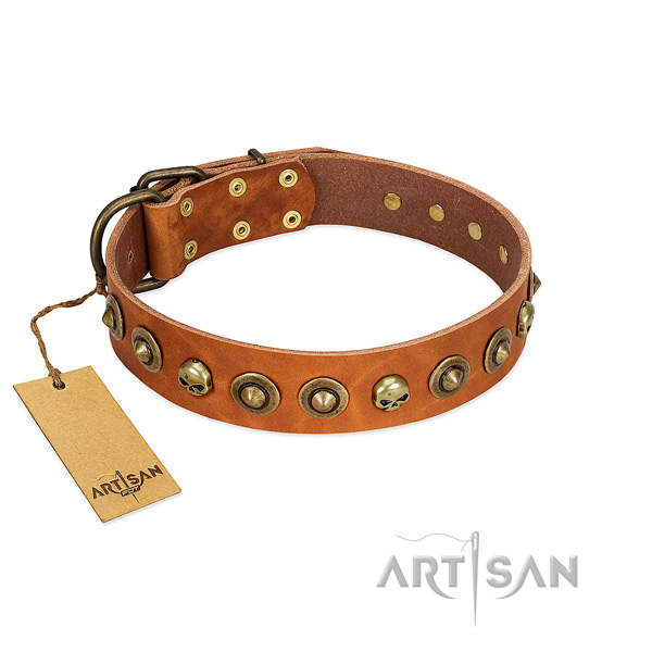 Natural leather collar with designer adornments for your four-legged friend