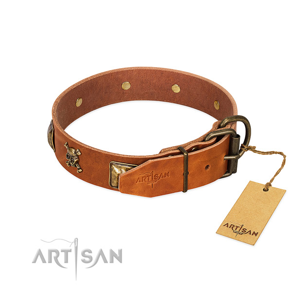 Incredible leather dog collar with rust resistant decorations