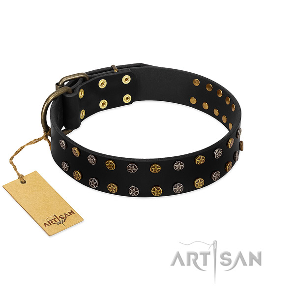 Incredible leather dog collar with strong embellishments
