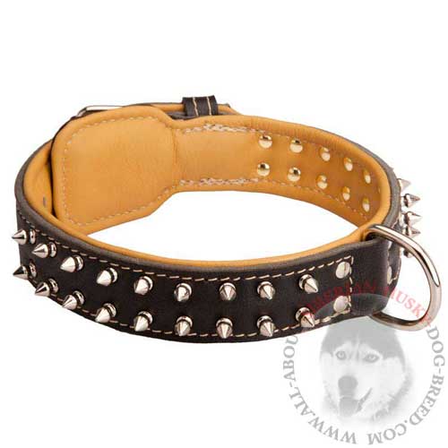 Siberian Husky Leather Dog Collar 