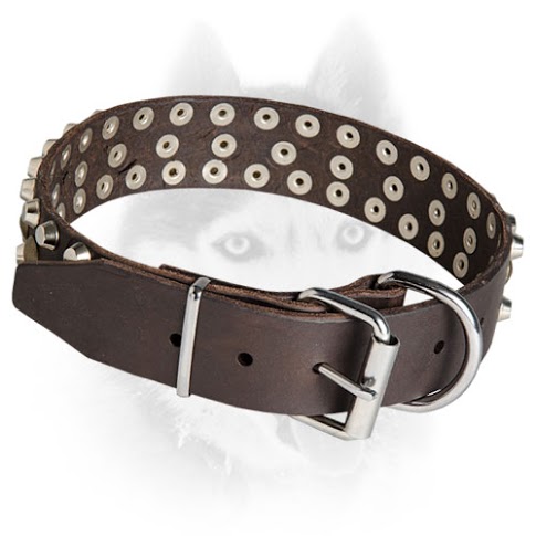 Studded Leather Dog Collar for Siberian Husky
