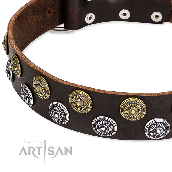 Genuine leather dog collar with fashionable embellishments
