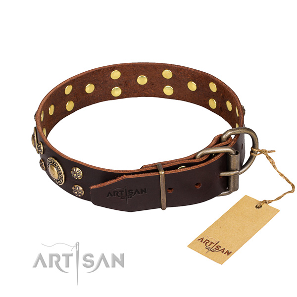 Daily walking genuine leather collar with embellishments for your pet