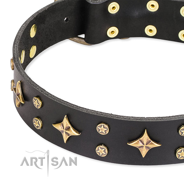 Full grain leather dog collar with remarkable decorations