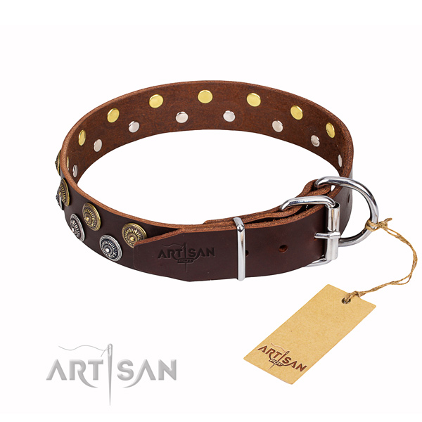 Daily use genuine leather collar with adornments for your four-legged friend