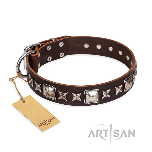Unique leather dog collar for daily walking