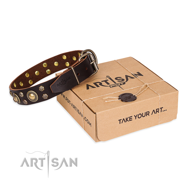 Awesome genuine leather dog collar for everyday walking