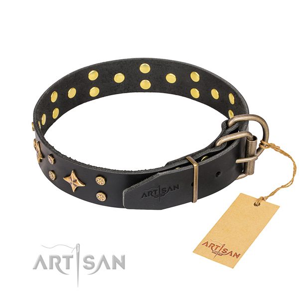 Daily walking full grain leather collar with embellishments for your doggie