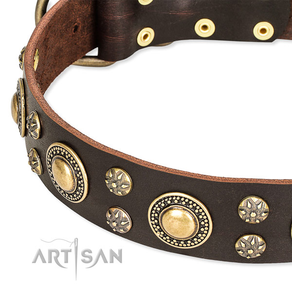 Leather dog collar with impressive decorations