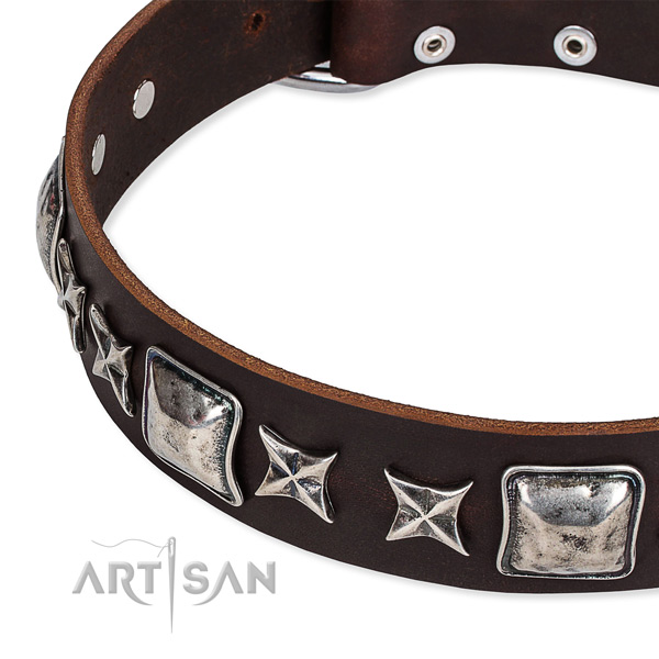 Full grain leather dog collar with decorations for comfortable wearing