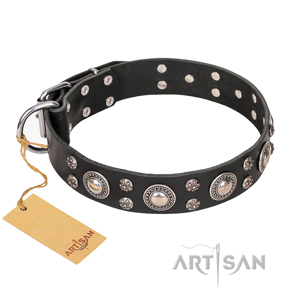Resistant leather dog collar with strong hardware