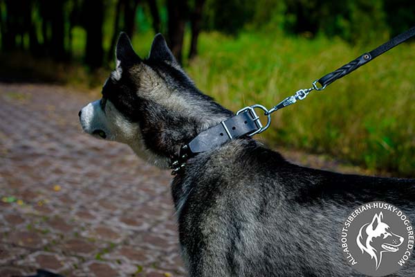 Easy-to-adjust Leather Dog Collar with Nickel-plated Hardware