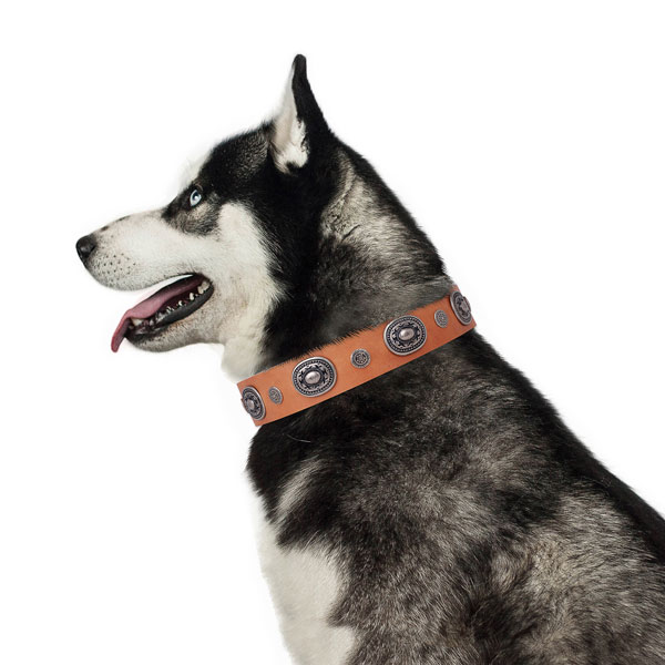 Leather dog collar with corrosion resistant buckle and D-ring for comfy wearing