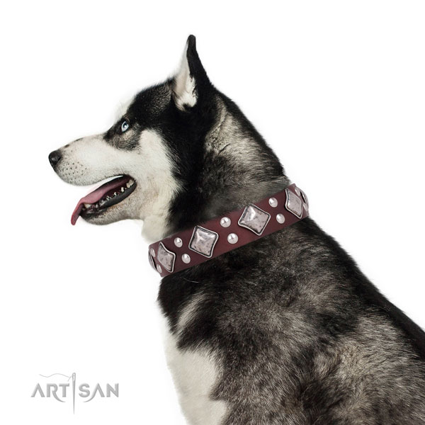 Comfortable wearing adorned dog collar made of quality leather
