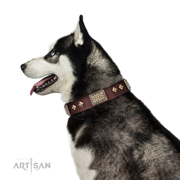 Reliable easy wearing dog collar of natural leather