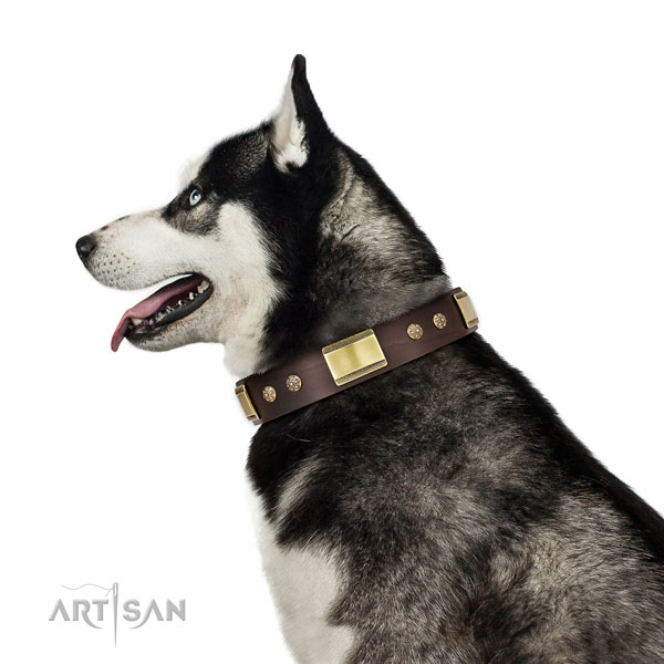 Easy wearing dog collar of genuine leather with significant adornments