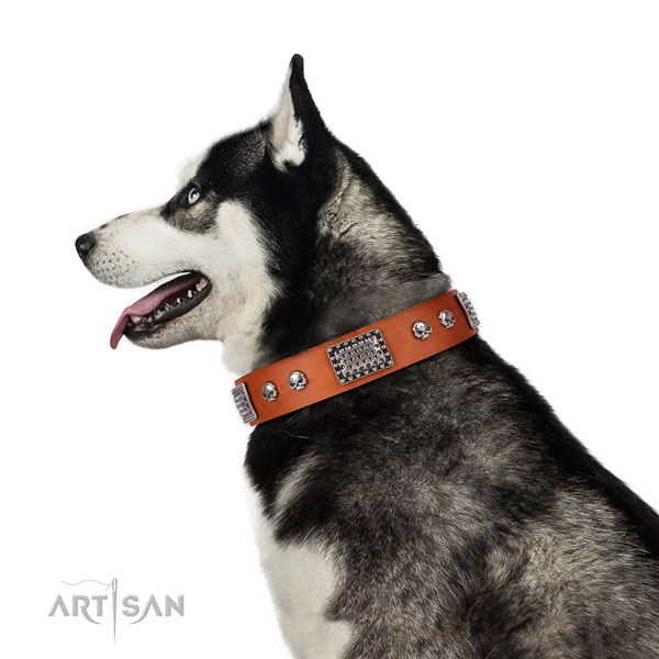Stylish genuine leather collar for your stylish doggie
